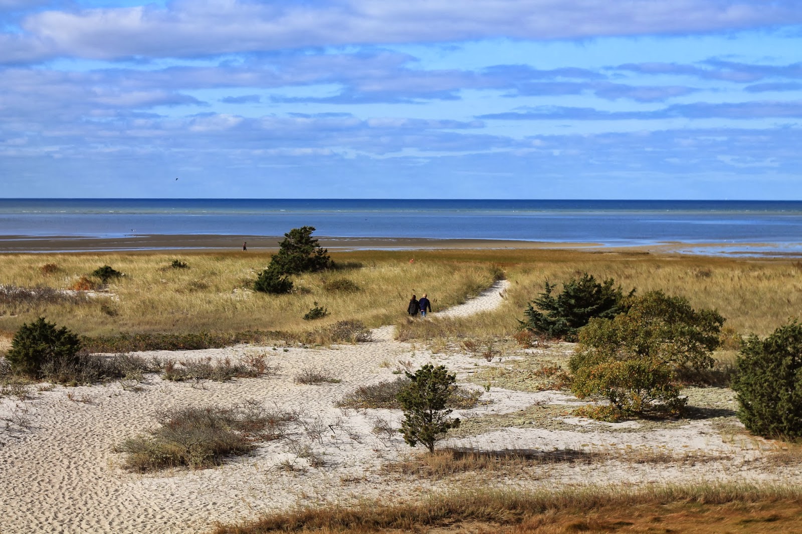 mitcheci photos Cape Cod Brewster Natural History Museum