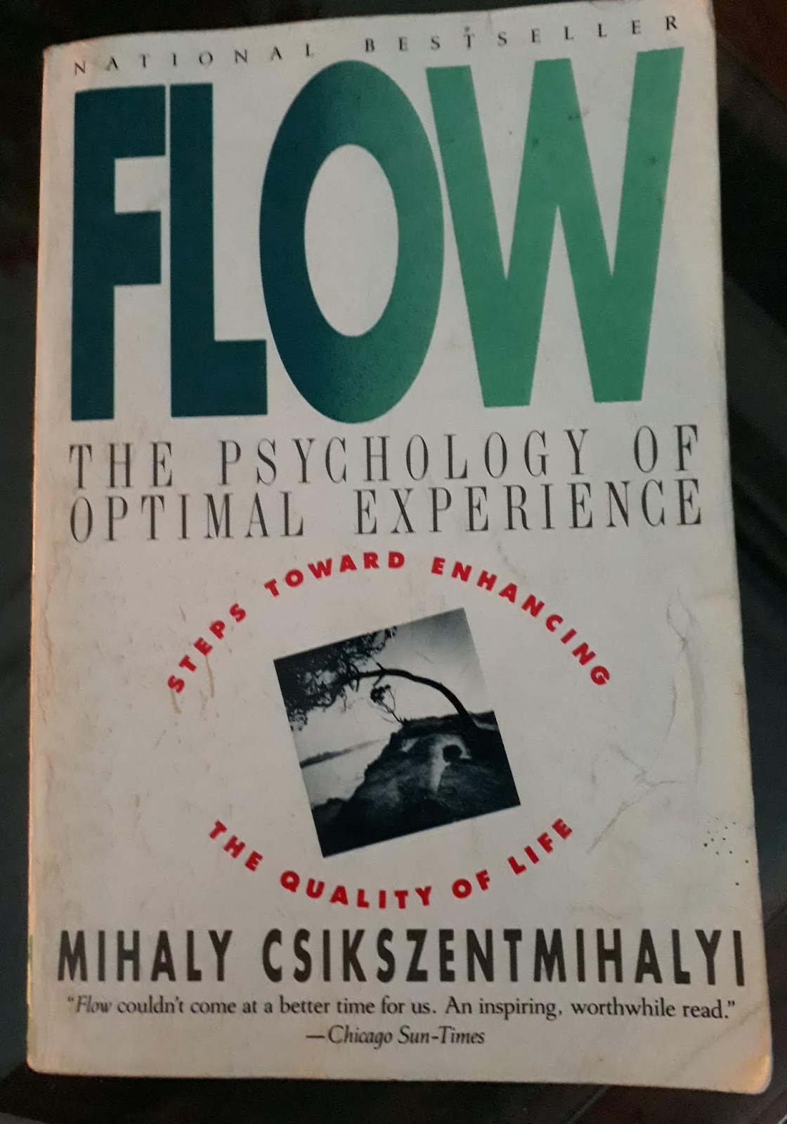 Flow Book Mihaly Csikszentmihalyi