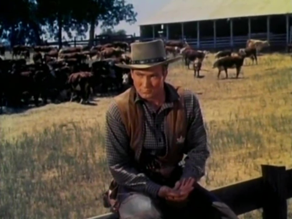 Texas Lady (Tim Whelan, 1955) Western