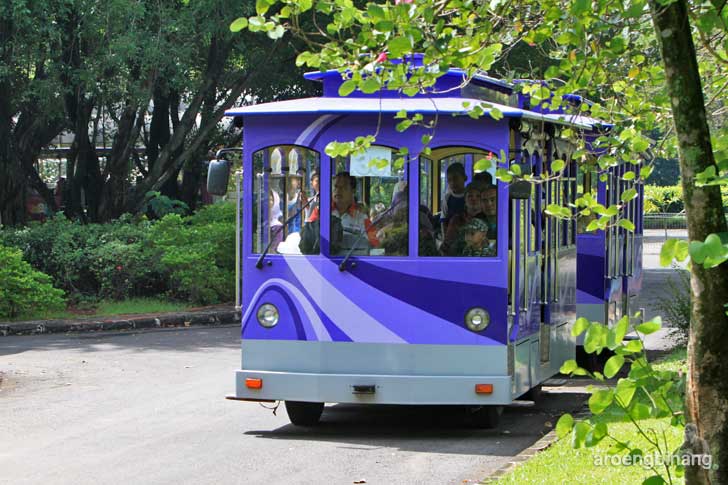 taman buah mekarsari cileungsi bogor