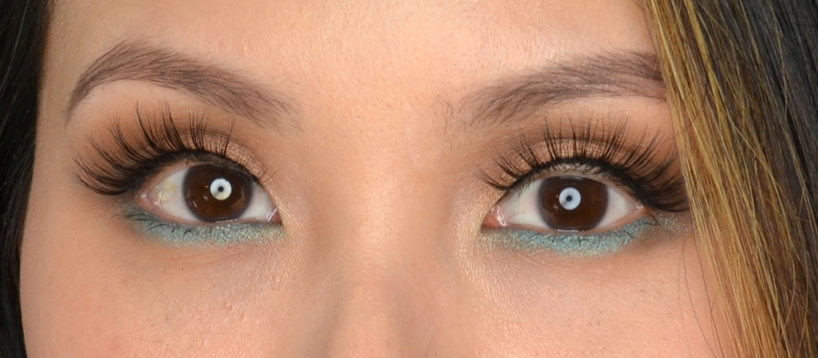 MAKEUP ESQIDO Miss Dolly Lashes and LatexFree Companion Eyelash Glue Review Cosmetic Proof