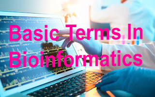 Basic Bioinformatics Terms on letter S