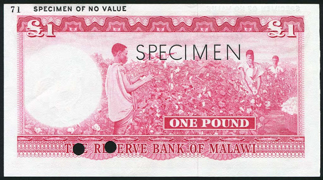 Malawi money currency Pound