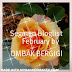 Segmen Bloglist February by Ombak Bergigi