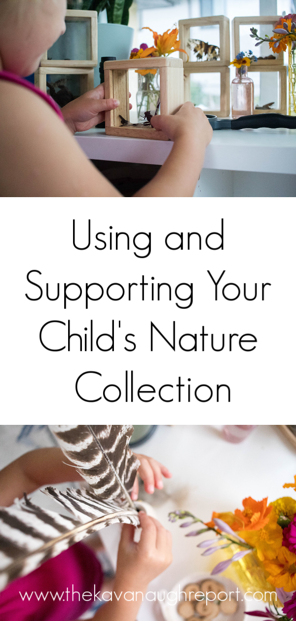 Supporting and Using your Child's Nature collection - easy science and nature discovery for your Montessori home
