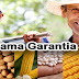 VÁRZEA DA ROÇA / Agricultores de municípios baianos são contemplados com o Garantia-Safra. Várzea da Roça está na lista
