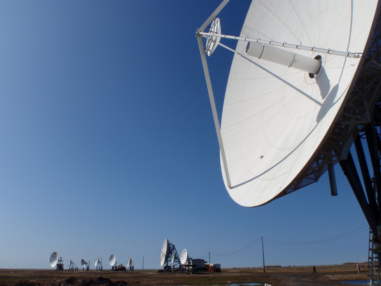 Rosanne Dorsey: satellite background