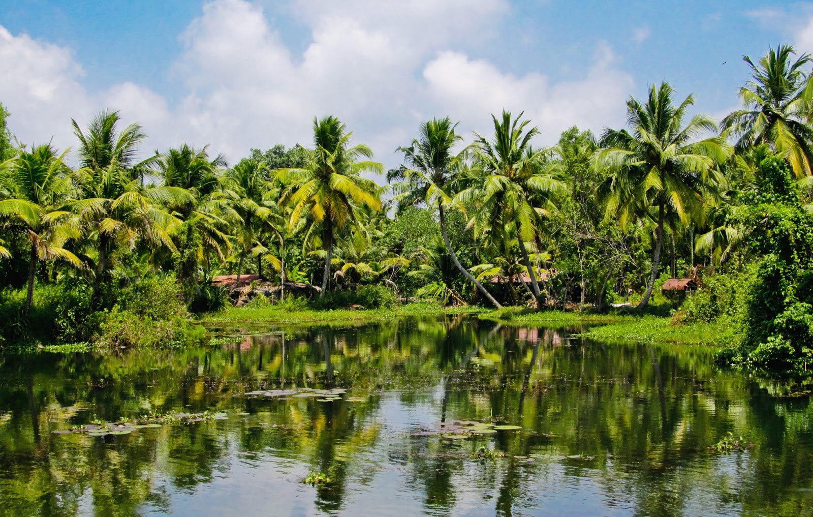 Travel & Adventures: Kerala ( केरल ). A voyage to Kerala ...