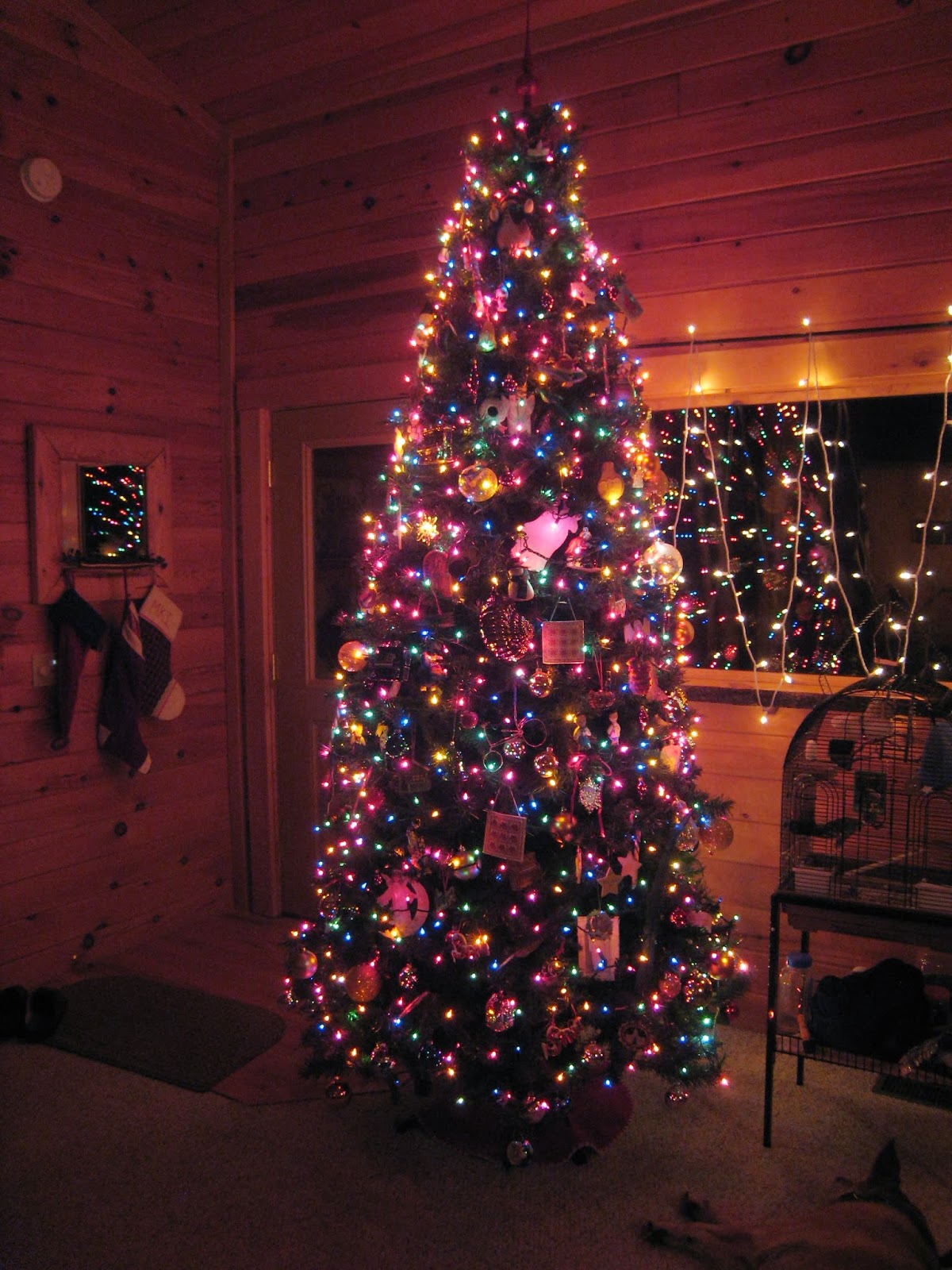 MadCityMike's Blog "The Fully Decorated Christmas Tree......"