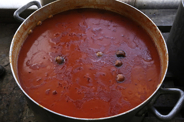 shlai patata, dunkirk community kitchen for refugees