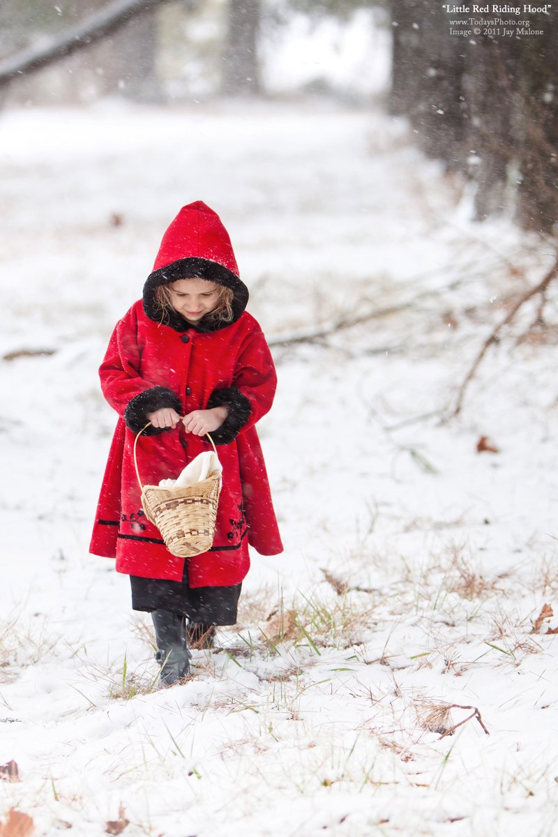 Little Red Coat