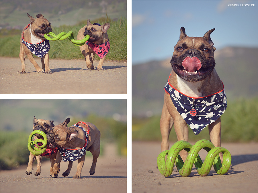 Chuckit Floppy Tug Hundespeilzeug zum Zerren Chuckit Floppy Tug Hundespeilzeug zum Zerren