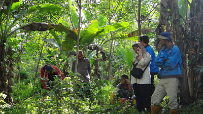 All about Gaharu Info: Update Tebang Pokok 21 Mei 2013