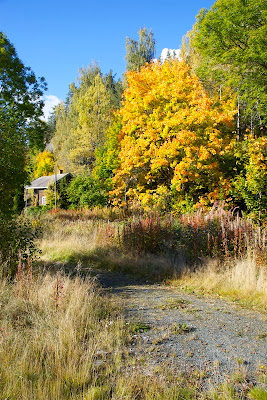 Волшебный домик Лив