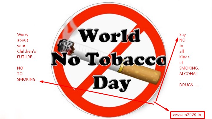 Essay on say no to smoking