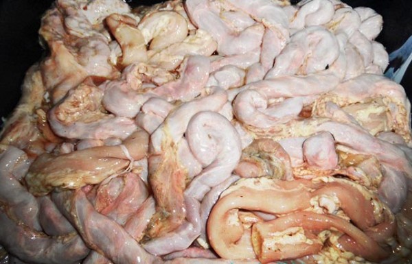 Umpan Ikan Keli Salam Strike Untuk Pemancing Tegar Kolam Facebook