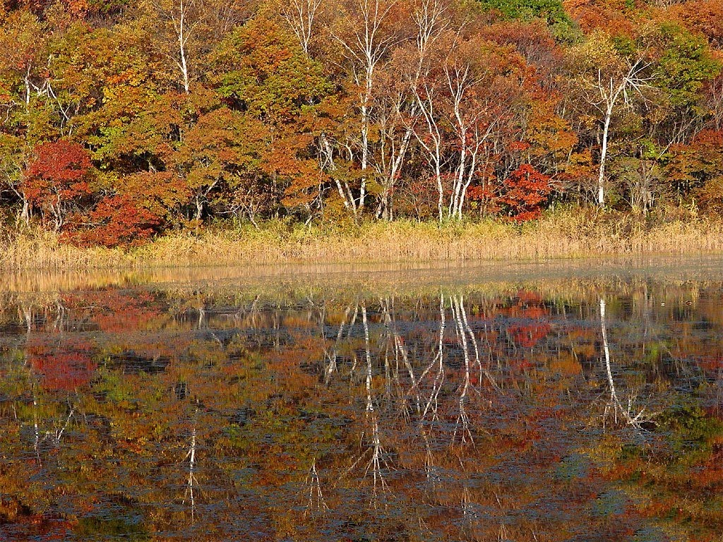 UCCIO CULT Autunno A Matera