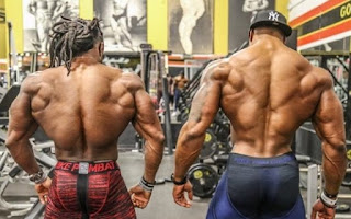 Cara Sukses Membentuk Otot Sayap | Badan Atletis