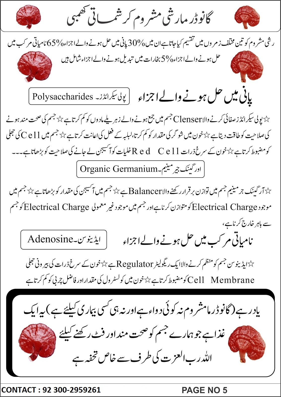 DXN One World One Market REISHI MUSHROOM (GANODERMA) IN URDU