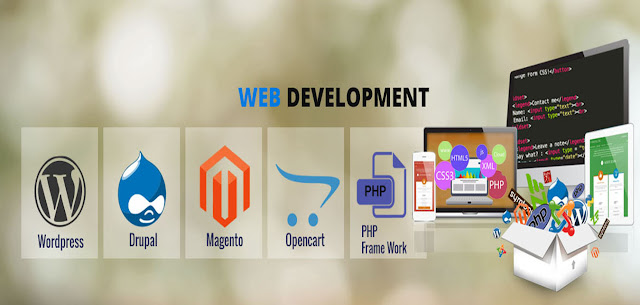 web development agency, top website development companies in india