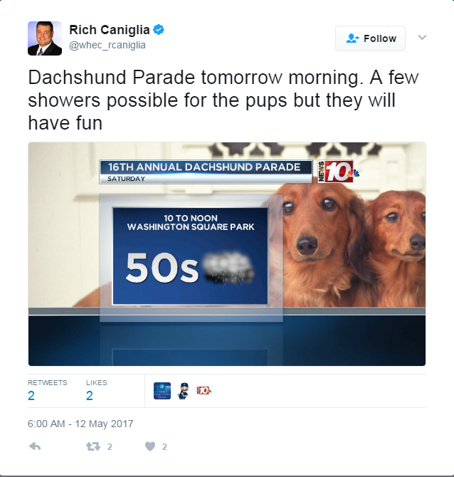 Rochester Dachshund Parade
