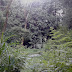 Nature Park Manali