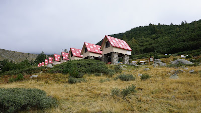 DSC00979.JPG