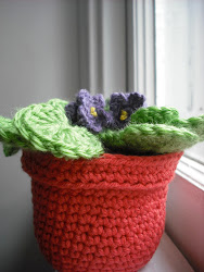 pot flower african violet crochet series violets plant hardier fortunately version purple