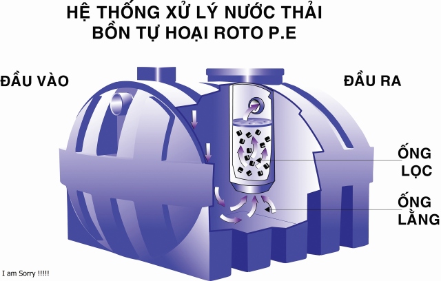 Roto Việt Nam