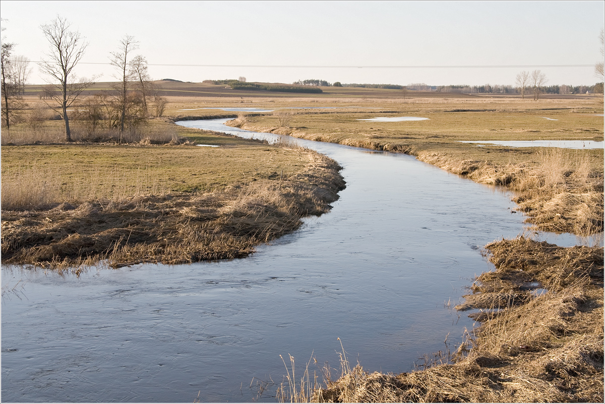 nature around me the river return to old riverbed