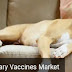 2019 Veterinary Vaccines Global Market – Zoetis, Merck Animal Health, Merial, Elanco Animal Health
