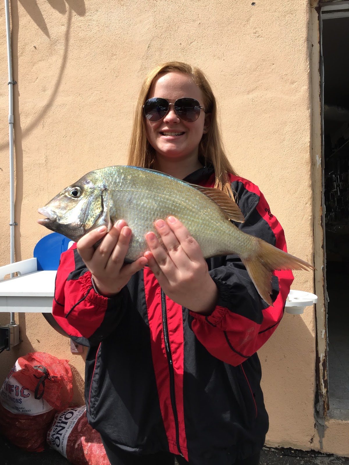 north shore bait and tackle