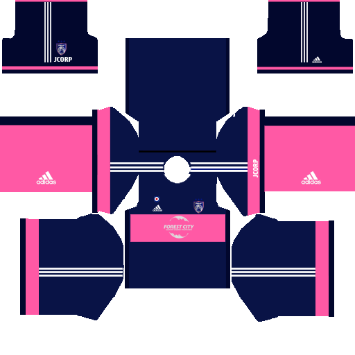 dls jdt kit