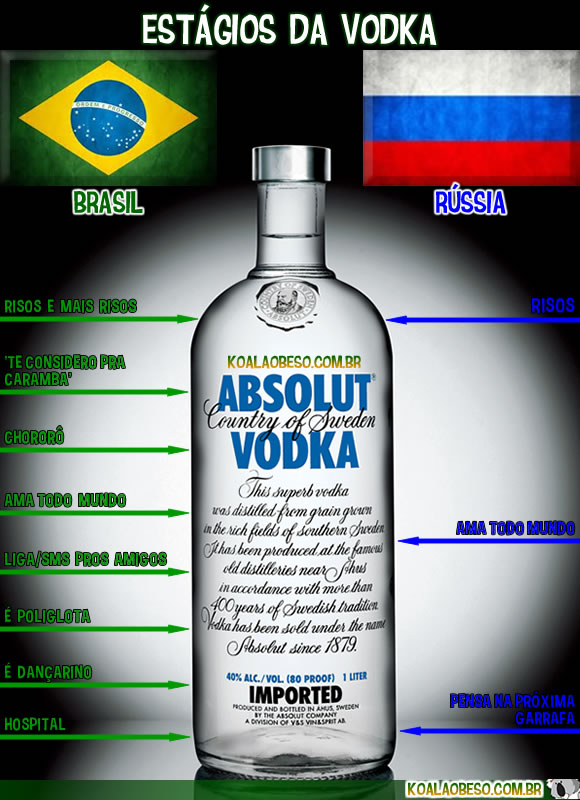 koala-obeso-vodka-absolut-russia-brasil-party-hard-bebado-festa-festaduro.jpg