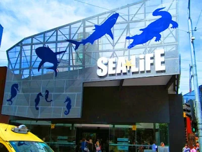 Sea Life Melbourne Aquarium Tempat menarik di melbourne australia untuk bercuti
