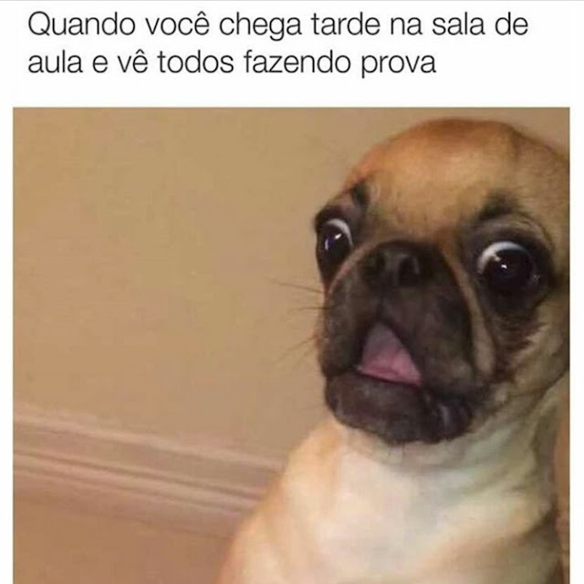 Memes engraçados Memes engraçados