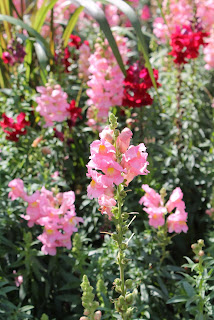 En los jardines En los jardines