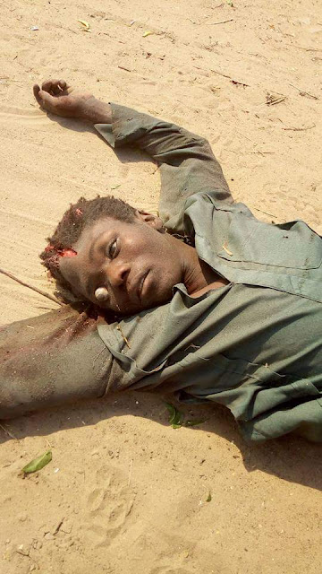 Photos: Boko Haram terrorists meet their waterloo in the hands of Civilian JTF in Borno 147 Photos: Boko Haram terrorists meet their waterloo in the hands of Civilian JTF in Borno