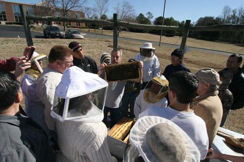 Celebrating Chatham County Beekeeper and Conservationist Judy Pick
