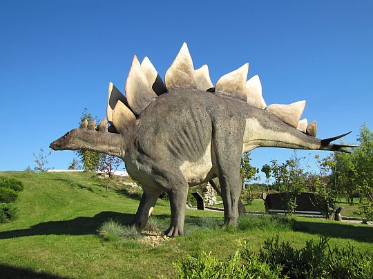 Stegozaur (Stegosaurus)