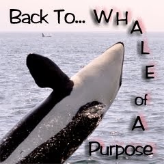 Back to Whale of A Purpose