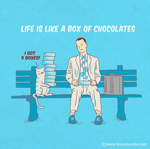 Life Is like A Box Of Chocolates - Human vs Cat