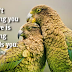 25+ images Romantic Love Quotes for (Her or Him) From the Heart