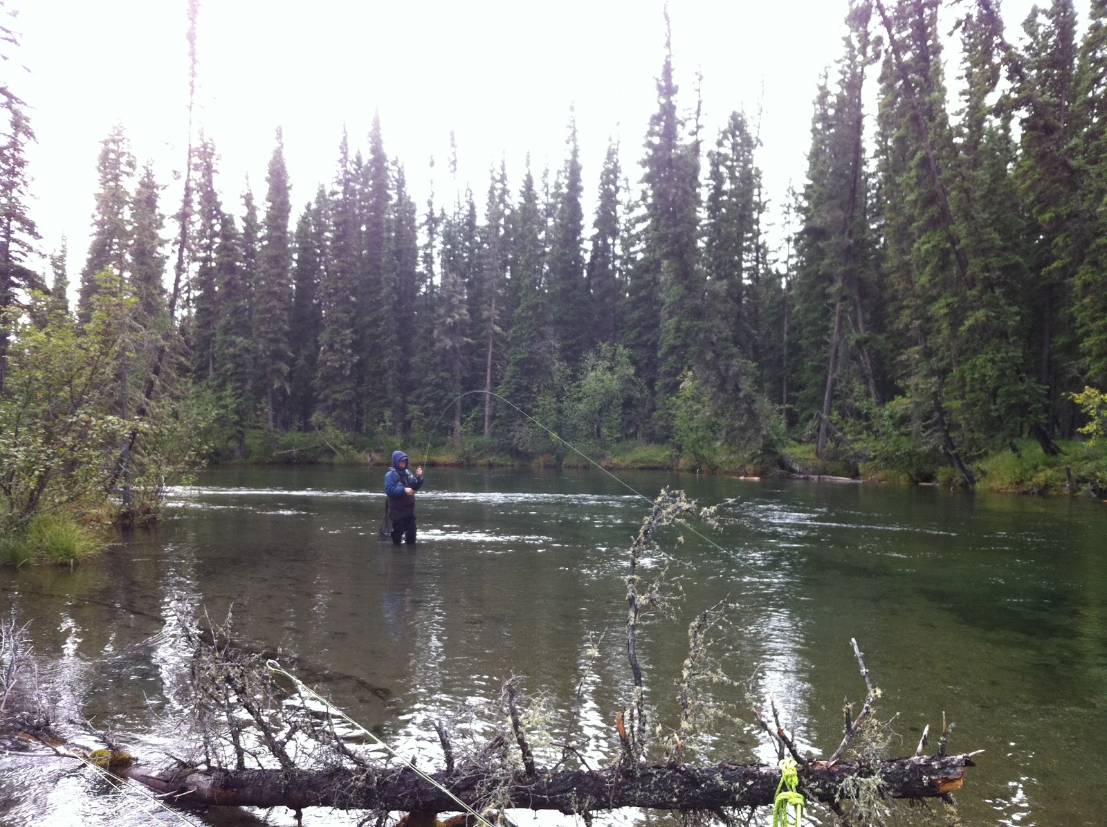 Pocono Fly Fishing Arctic Grayling Alaska fly fishing on Delta
