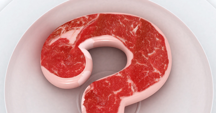 Organ Meat Dog Food Recipes Organ Meat Dog Food Recipes