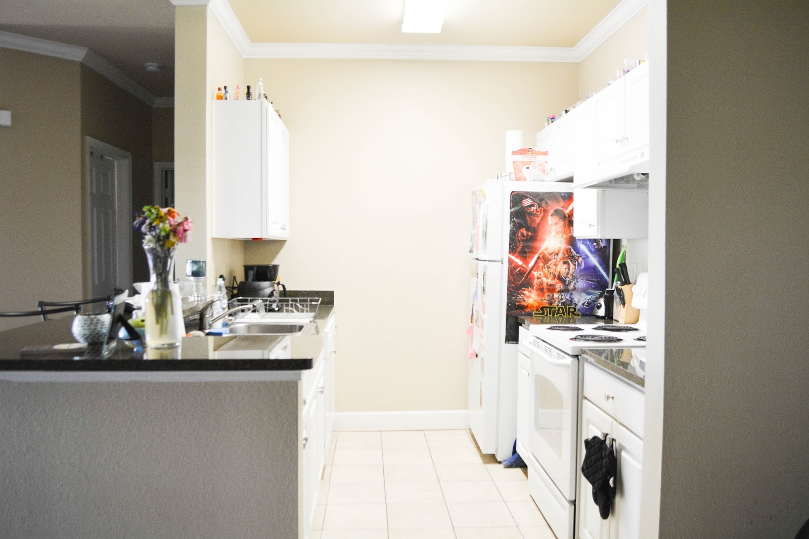 Apartment Tour: Kitchen & Entrance Apartment Tour: Kitchen & Entrance