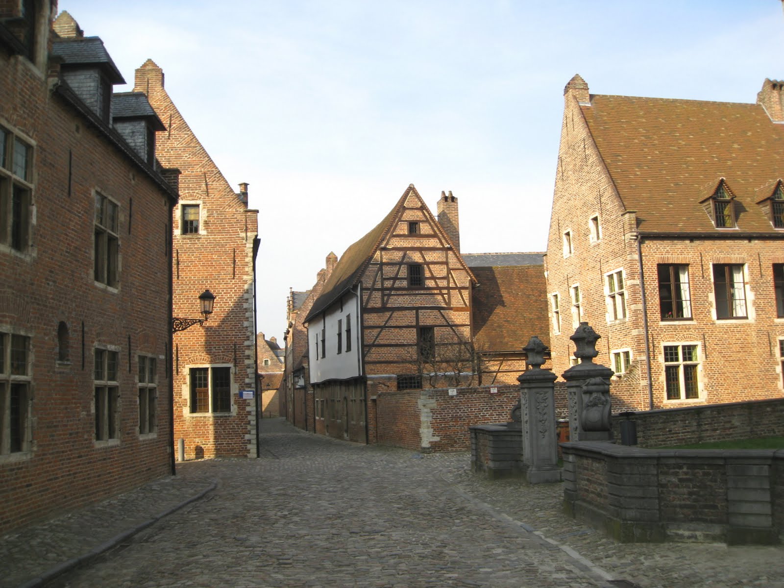 TOUR DE FRANS Meerdaal & Heverleebosroute