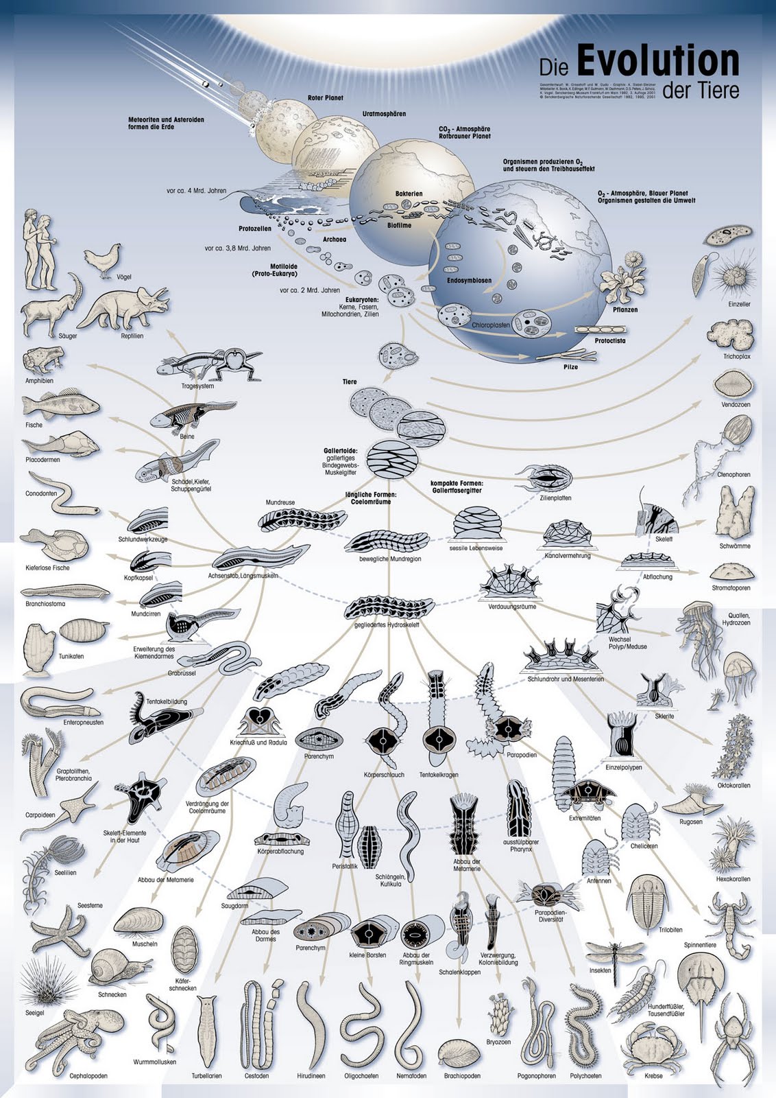 What about evolutionism ~ Environment Clean Generations