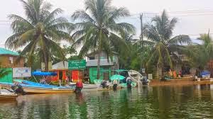 Highest rated excursions, restaurants, and activities in Placencia, Belize, by our guests...updated! 9 Remax Vip Belize: Monkey River/Barebones Tours