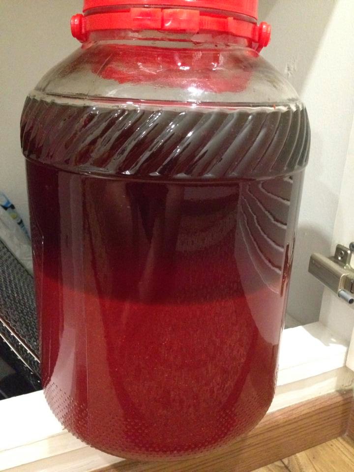 HomeMade Chinese Red Rice Wine （Foo Chow Ang Jiu) By Fiona Lau